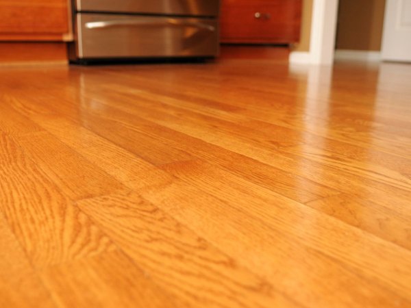 Warm Hardwood Floors in a bright kitchen