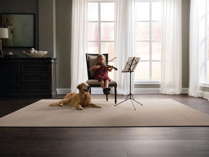 SmartStrand Carpet Featuring ColorMax Technology